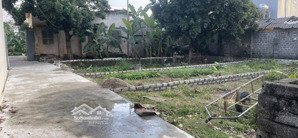 bán đất tại xã trần phú, chương mỹ, hà nội, giá ưu đãi 1,55 tỷ, 90,7 m2