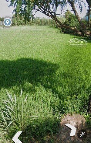 bán đất tại gò công đông, tiền giang. 3.252m2 đường xe 16 chỗ, gần trung tâm, giá 2,1 tỷ, sổ hồng