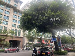 (hiếm) bán nhà kinh doanh mặt phố nguyễn khắc cần - trung tâm hoàn kiếm, 50m2 x 3 tầng, 40 tỷ