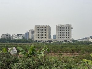 bán đất đấu giá bạch đa kim hoa mê linh giá mềm hơn đất dân rẻ hơn xung quanh vài giá