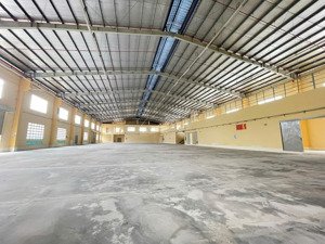 cho thuê kho xưởng 800m2 đường nguyễn cửu phú, tân nhựt, bình chánh, tphcm