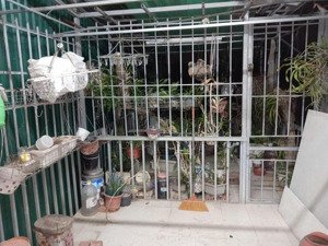 bán nhà riêng tại nguyễn chính, tân mai, hoàng mai, hà nội, 4,8 tỷ, diện tích sử dụng 110m2