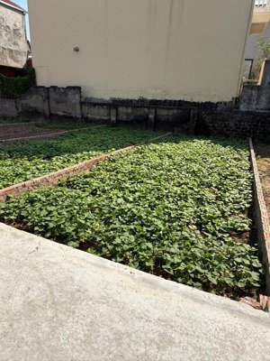 bán đất tại xã thọ an, đan phượng, hà nội, 50 triệu / m2, 41.8 m2, hàng hiếm đẹp