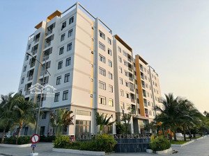 cho thuê căn hộ chung cư an phú 2pn 60m2