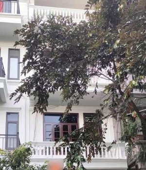 cho thuê nhà liền kề kđt đại kim - mới sửa sang