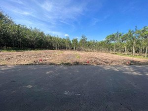 cần bán lô đất 348m2 + 100m tc gần ubnd tân hiệp, dân cư đông, giá 520 triệu còn tl, sổ riêng