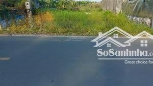 đất diện tích lớn thổ cư cao, đường thông, xe lớn di chuyển dễ dàng.