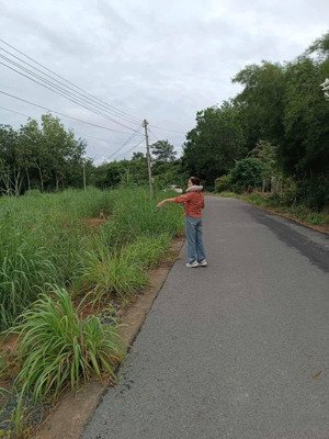 bán đất tại đường 722, xã định an, dầu tiếng, bình dương, giá thỏa thuận, 300m2