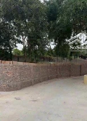 bán đất khu 1, xã chu hóa, việt trì, phú thọ diện tích lớn, đường 15m, view ao cá