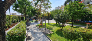 cđt đạt gia bán 11 căn penhouse với giá bằng giá 2021 - đang cấp sổ hồng