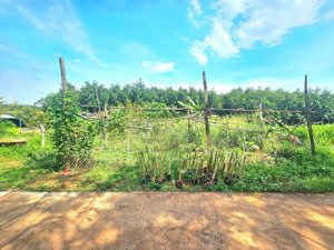 tài sản đầu tay 220tr múc ngay. đất nhà cắt, vườn rau thổ nhưỡng tốt ngang 8 tân hưng