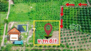 bán đất tân xương 2 suối cát - cam lâm. 1000m2 ngang 28m. đất đẹp bằng phẳng giá chỉ 450tr