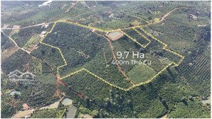 cần nhượng lại 9,7 ha cafe đẹp gần nút giao cao tốc tại xã tân châu