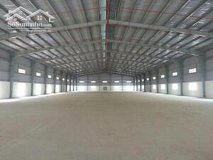 CHO THUÊ KHO XƯỞNG BÌNH CHÁNH 3000M2 GIÁ 120TR- PHÙ HỢP SẢN XUẤT & LƯU KHO