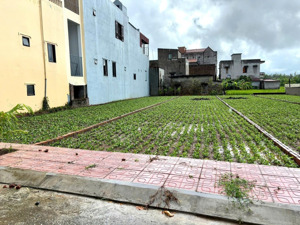 vị trí lô nằm ngay tại trung tâm thị trấn ra khu du lịch biển 500m