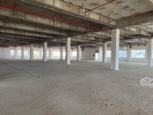 cho thuê 600m lầu 1 & 2000m2 lầu 3 văn phòng 268 tô hiến thành (trên đầu siêu thị go!)