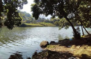 cần tiền bán nhanh đất có thổ cư tại cao phong, hoà bình (cũ)