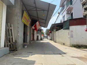 bán đất tại việt hùng, đông anh, hà nội, 5,5 tỷ, 76,6 m2, view đẹp, uy tín