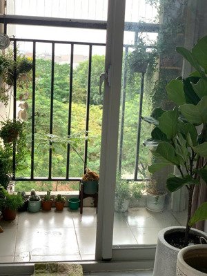 cho thuê cc the art, đỗ xuân hợp, p phước long b, q9, tp.hcm, giá cực chất 10 triệu, 66.3m2