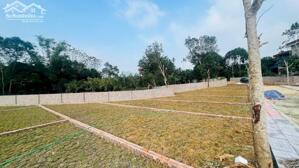 MUA 1 LÔ ĐẤT TẶNG 1 CHỈ VÀNG MƠ BÁN 25 LÔ ĐẤT VỊ TRÍ ĐẮC ĐỊA TẠI KIM BÔI HÒA BÌNH