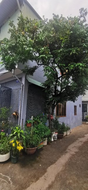 cho thuê nr 2pn, 2wc tại song hành, tân hưng thuận, q12, hcm, giá ưu đãi chỉ với 5,5 triệu