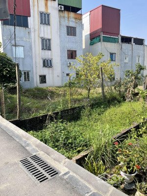 siêu hiếm: lô đất 58m2 (4x15m) giá có 85tr mà lại thương lượng được tại lê xá, mai lâm