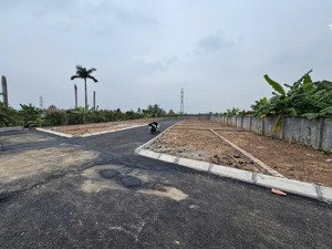 đất nền minh đức đồ sơn | mặt đường 403