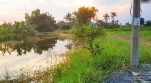 Cơ hội sở hữu đất trung tâm Đăng Kiểm Xe Cơ Giới Long An