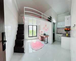 khai trương dự án mới, duplex cửa sổ cực thoáng, thang máy, hầm xe rộng rãi, giáp quận 1