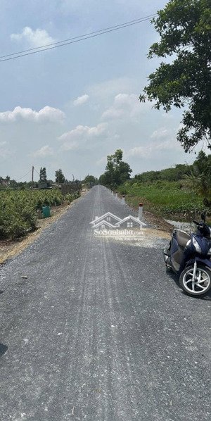 mặt tiền kênh 6 xã bình lợi huyện bình chánh 9130m2 (51m x 180m) / gần sát vườn thơm vuông vức