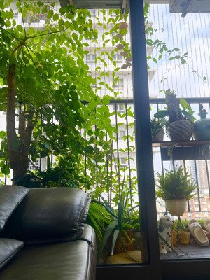 bán cc đẹp golden west, 7,2 tỷ, 83m2, 2pn, 2wc, nhiều tiện ích tại thanh xuân, hà nội