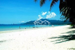 kẹt tiền, tôi sang nhanh, sang lỗ miếng đất tâm huyết 200m2 full thổ cư 100% trước tết 2026