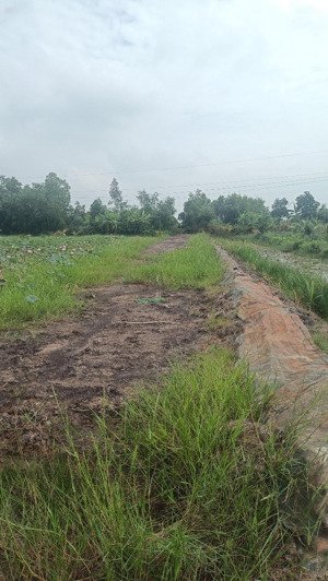 bán lô đất 490tr dt 1722m2 tân bình tân thạnh long an