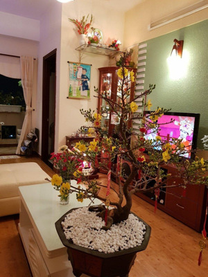 cần bán chung cư khang phú diện tích 70m 2pn sổ hồng rồi giá 3,38 tỷ