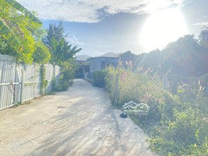 ngộp cần bán 119m2 tt long hải 1tỷ570 cách biển 2km