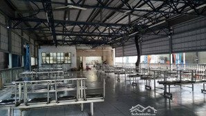 cho thuê kho xưởng kv: 10.000m2, kho: 4.000m2, quốc lộ 1a, bình chánh, container 24/24, bình 560kva