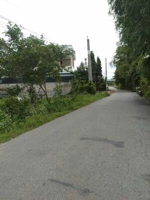 Giá Tốt: Cho Thuê Đất Ruộng 5.400m2 ( 60x90m) Mặt Tiền Huỳnh Châu Sổ, P.6, Tp.Tân An