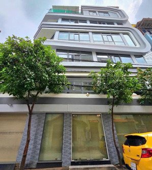 bán gấp nhà riêng 4pn, 4wc tại ni sư huỳnh liên, tân bình, 17,6 tỷ, 261,9m2