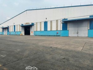 cho thuê 11.500m2 kho xưởng tiền giang
