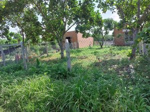 đất đầu tư phú túc giá mềm, dễ ra hàng phú túc | cách tp. hcm ~80km 2000m2 rộng rãi