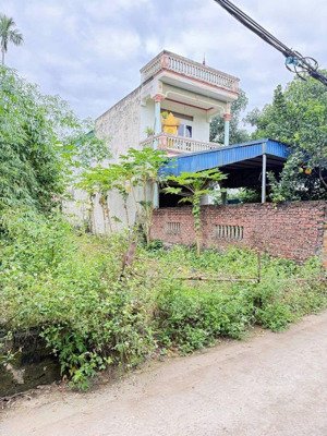 chính chủ gửi bán bán nhanh lô đất 125m2 chỉ 3,15 ty tại phú cát hòa lạc giáp quốc lộ 21a