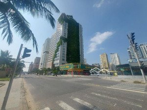 phố tây! bán cặp đất 140m2, 44,99 tỷ - mt đỗ bá - q. ngũ hành sơn