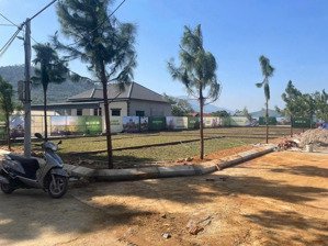 hàng hiếm tại phú cát, q. quốc oai, hà nội, 26 triệu/m2, 100m2