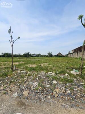 2 lô đất nền 2 xẹt 500m Phan Văn Hớn-Xuân Thới Thượng-Hóc Môn.Dt 5x23,6~118m2~3,65ty/lô