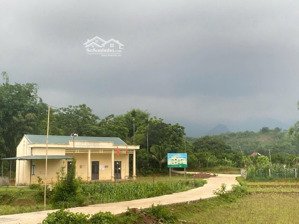 lô đất sẵn vườn bưởi đã cho thu hoạch, 14m mặt đường liên xã mường hoa dân cư đông gần trường ub xã