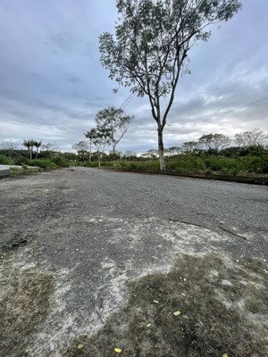 hoàng bình chính vị trí vàng khu biển non nước