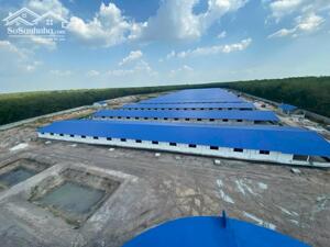 bán trại heo mới 100% Tân Châu ,Tây Ninh