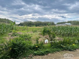 ngộp bank cần ra lô đất thổ cư tại xã phước thành, tp.hcm gần trường học tân hiệp giá 520 triệu