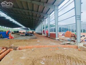 Cho thuê xưởng dầu tiếng Bình Dương tphcm