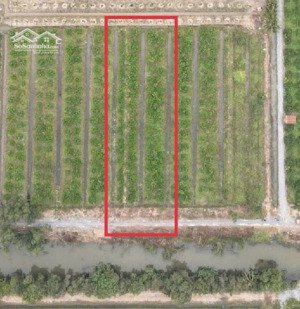 chính chủ bán đất tân thành thủ thừa giá tốt